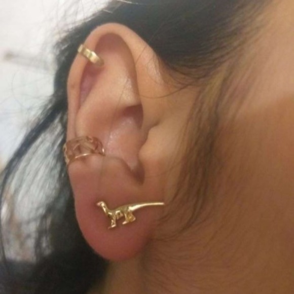 3 Pairs Dinosaur Earrings Jurassic Park inspired - Picture 4 of 6